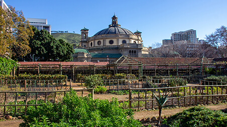 Cape Town Company Gardens