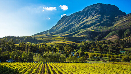 Stellenbosch Mountain